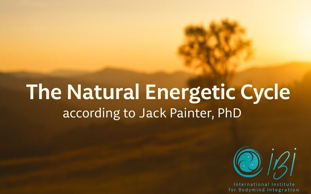 De Natuurlijke Energetische Cyclus volgens Jack W. Painter, PhD.